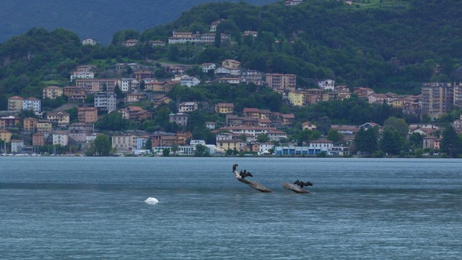 Fotogramma 2 di Occhi sul Lago